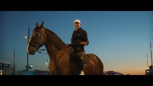 Video Reference: Horse, Mammal, Bridle, Halter, Vertebrate, Rein, Horse tack, Stallion, Horse supplies, Horse harness