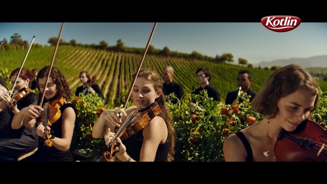 Video Reference: People, Event, Summer, Photography, Fun, Adaptation, Screenshot, Plant, Tradition, Tourism
