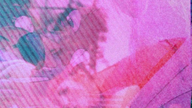 Video Reference: pink, purple, magenta, violet, petal, textile, leaf, flower, close up, pattern, Person