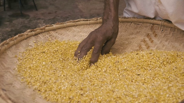 Video Reference: Malt, Food, Grain, Cuisine, Food grain, Dish, Husk, Corn