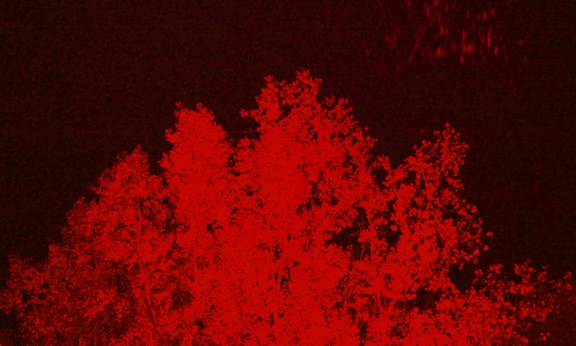 Video Reference: Red, Black, Maroon, Carmine, Visual arts