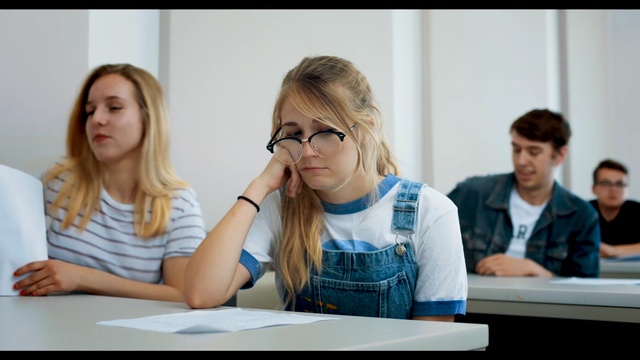 Video Reference: Conversation, Learning, Student, Employment, Job, Person