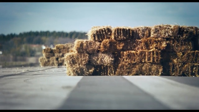 Video Reference: Nature, Photograph, Wall, Rock, Tree, Sky, Morning, Landscape, Photography, Geology
