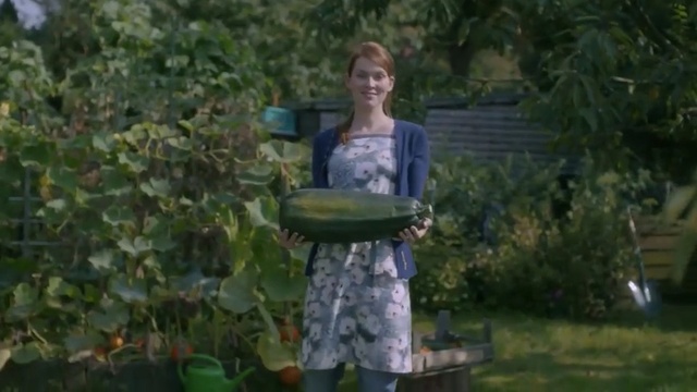 Video Reference: Nature, Garden, Leaf, Lawn, Yard, Botany, Tree, Backyard, Grass, Shrub, Person