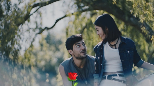 Video Reference: People in nature, Photograph, Yellow, Friendship, Tree, Leaf, Smile, Photography, Love, Eye