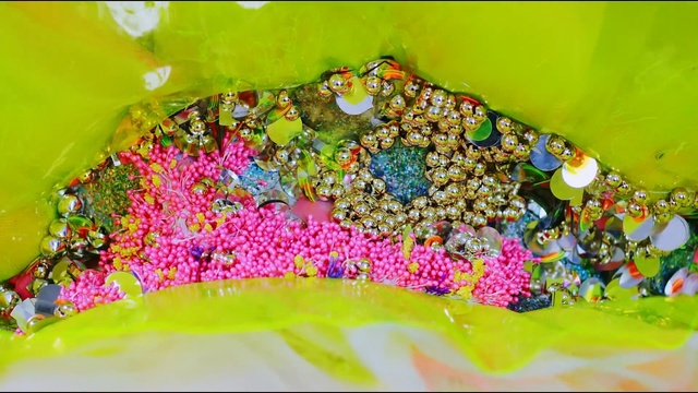 Video Reference: yellow, flora, leaf, flower, grass, petal, Person