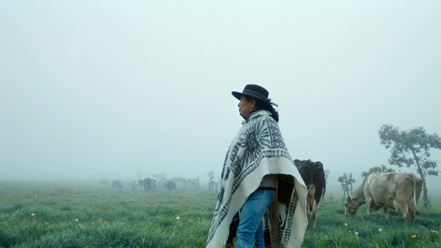 Video Reference: Atmospheric phenomenon, Grassland, Herder, Adaptation, Grass, Pasture, Grass, Rural area, Fog, Photography