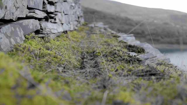 Video Reference: Vegetation, Water, Grass, Rock, Cliff, Terrain, Plant, Moss, Bedrock, Outcrop