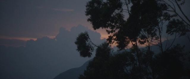 Video Reference: sky, tree, atmosphere, cloud, darkness, morning, evening, night, mist, sunlight