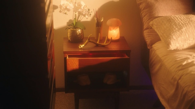 Video Reference: room, light, lighting accessory, lighting, lampshade, light fixture, table, lamp, furniture, interior design, Person