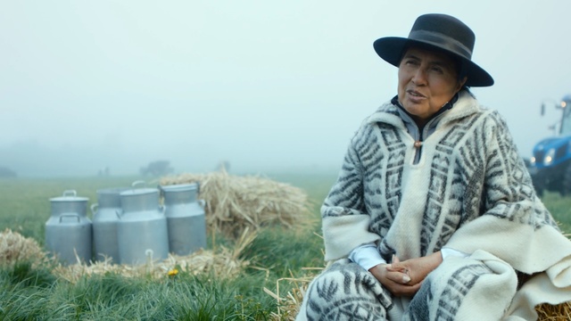 Video Reference: Farm, Grass, Rural area, Straw, Grass, Agriculture, Plant, Crop, Hay, Farmer