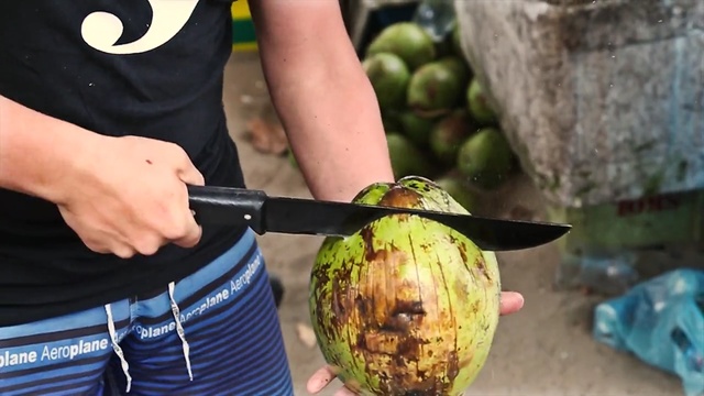 Video Reference: Coconut, Coconut water, Plant, Fruit