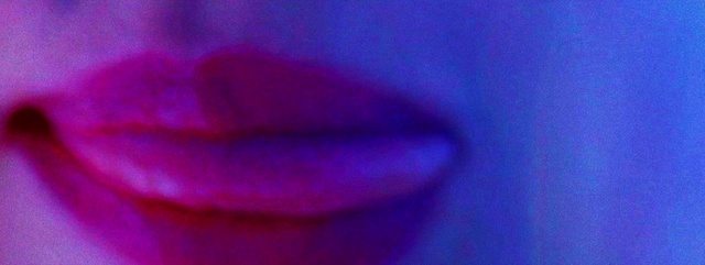 Video Reference: Violet, Purple, Blue, Pink, Petal, Close-up, Magenta, Electric blue, Flower