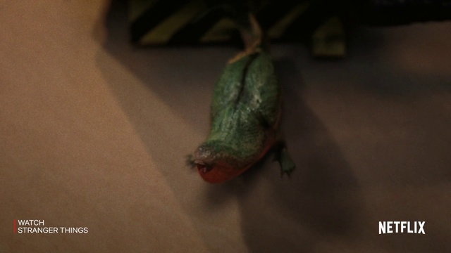 Video Reference: Adaptation, Plant