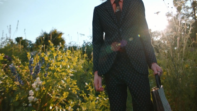 Video Reference: People in nature, Clothing, Yellow, Outerwear, Grass, Jacket, Blazer, Plant, Suit, Sunlight