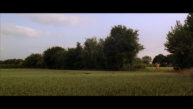 Video Reference: sky, field, grassland, tree, pasture, grass, farm, plain, meadow, rural area