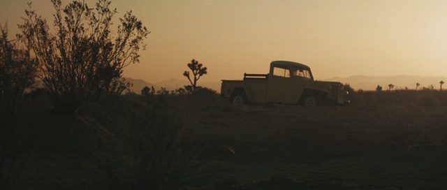 Video Reference: morning, sunrise, dawn, landscape, sky, evening, ecoregion, safari, tree, savanna