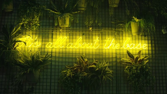 Video Reference: Green, Vegetation, Nature, Light, Yellow, Tree, Leaf, Plant, Terrestrial plant, Grass