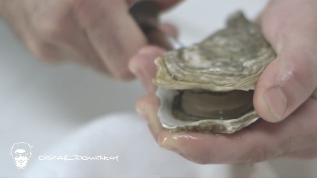 Video Reference: Food, Oyster, Seafood, Bivalve, Dish, Hand, Recipe, Cuisine, Shellfish, Person