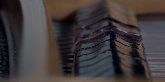 Video Reference: Wood, Paper