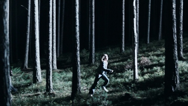 Video Reference: Black, Natural environment, Darkness, Tree, Forest, Organism, Photography, Plant, Woodland