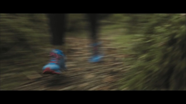 Video Reference: Nature, Natural environment, Green, Woodland, Wilderness, Tree, Extreme sport, Photography, Darkness, Forest