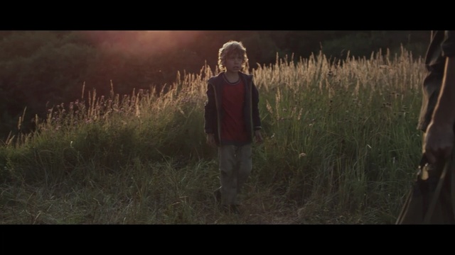 Video Reference: ecosystem, screenshot, grass, grass family, darkness, ecoregion, landscape, tree, sky, midnight, Person