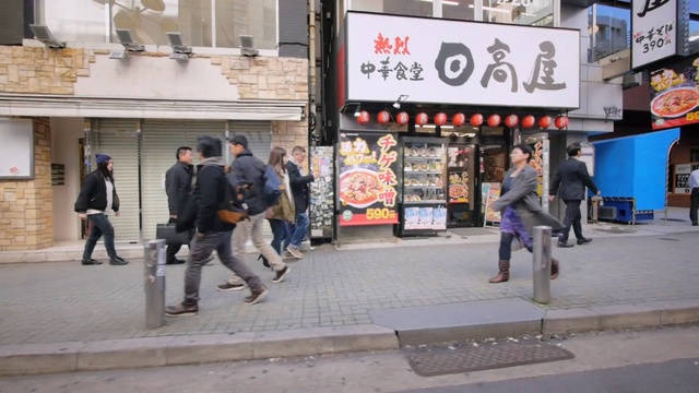 Video Reference: Snapshot, Pedestrian, Street, City, Tourism, Building, Road, Sidewalk, Person