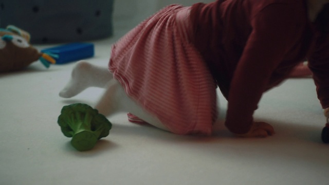 Video Reference: Pink, Canidae, Play, Puppy, Cat, Toy