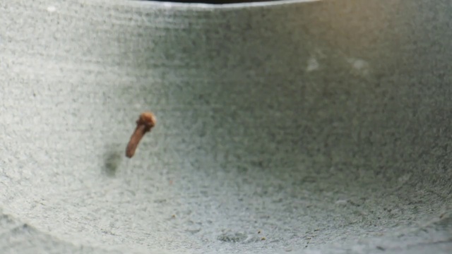 Video Reference: Insect, Organism, Stain