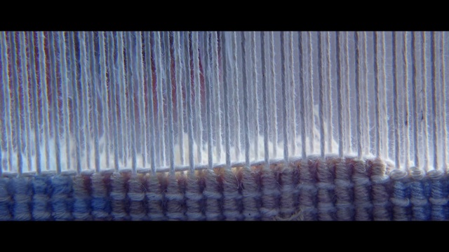 Video Reference: Blue, Textile, Line, Sitting, Table, Brush, Comb, Man, Cat, Large, White, Abstract, Art, Screenshot