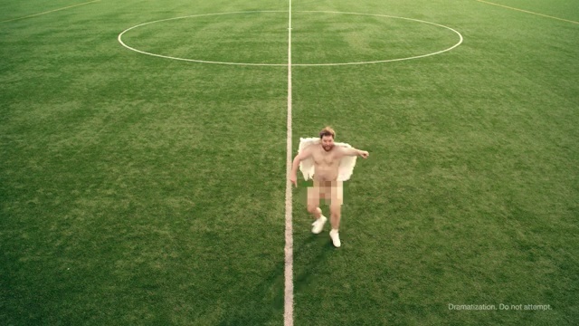 Video Reference: grass, plant, football, sport venue, lawn, player, ball, sports, ball, net, Person