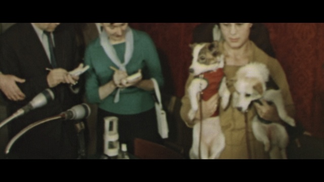 Video Reference: screenshot, Person