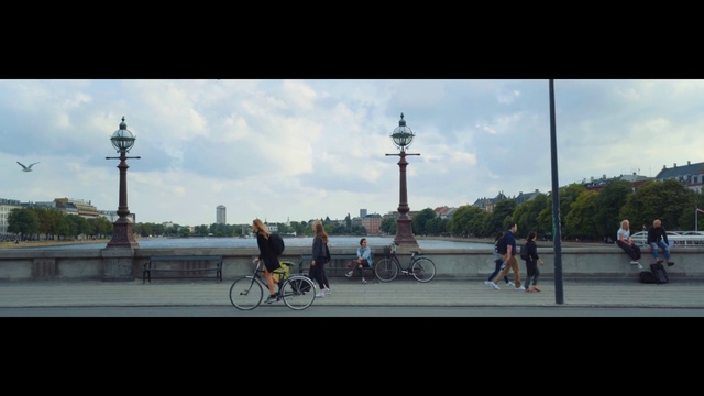 Video Reference: Sky, Mode of transport, Public space, Bicycle, Vehicle, Street, City, Road, Tree, Recreation