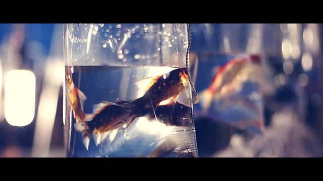 Video Reference: Water, Sky, Photography, Fictional character, Transparent material