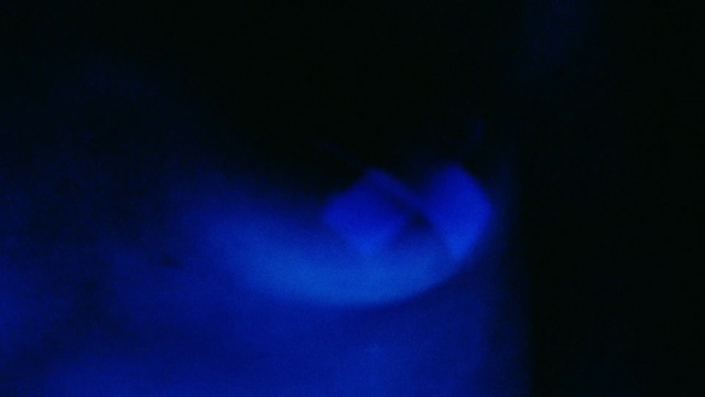 Video Reference: blue, cobalt blue, light, electric blue, atmosphere, darkness, computer wallpaper, sky, night, macro photography