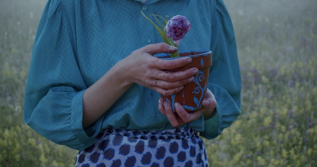 Video Reference: Hand, Adaptation, Flower, Textile, Plant, Finger, Wildflower