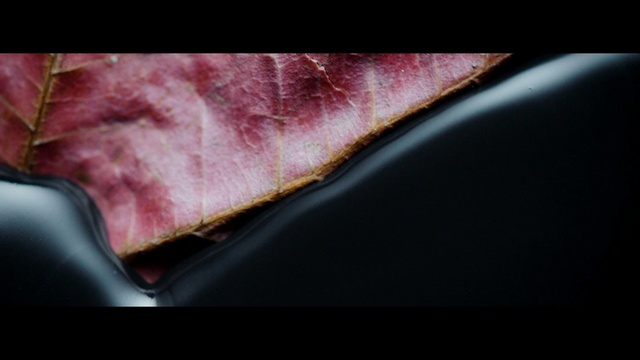 Video Reference: velvet, fabric, container, pencil box, box