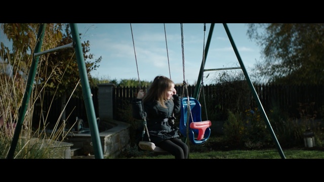 Video Reference: nature, swing, tree, plant, grass, sky, outdoor play equipment, fun, photography, leisure, Person