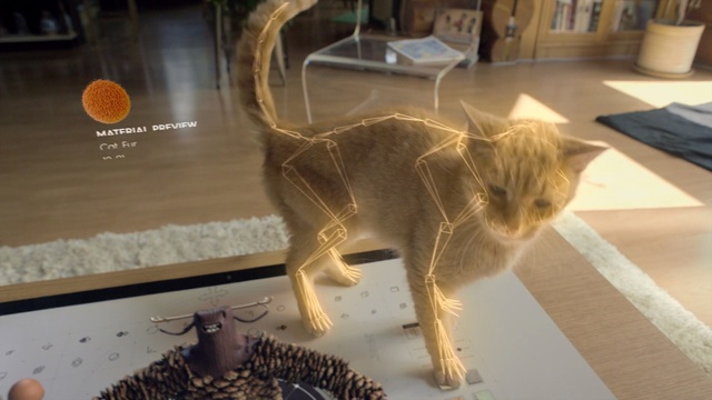 Video Reference: cat, fauna, small to medium sized cats, cat like mammal, whiskers, tail, domestic short haired cat, carnivoran, tabby cat, kitten, Person