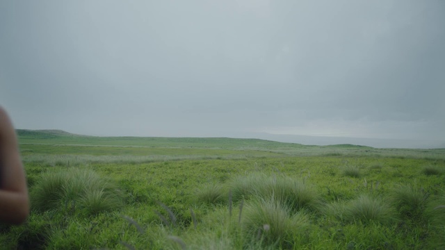 Video Reference: Grassland, Plain, Prairie, Natural environment, Steppe, Atmospheric phenomenon, Ecoregion, Green, Vegetation, Natural landscape
