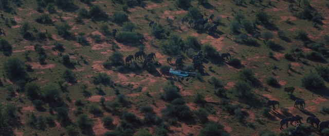 Video Reference: Vegetation, Aerial photography, Biome, Soil, Photography, Birds-eye view, Landscape, Forest, Plant community, Geological phenomenon