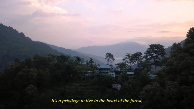Video Reference: Hill station, Nature, Highland, Sky, Vegetation, Atmospheric phenomenon, Mountainous landforms, Morning, Wilderness, Cloud