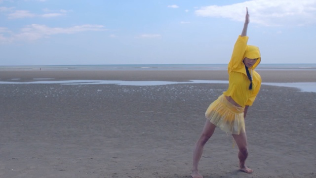 Video Reference: sea, beach, body of water, vacation, ocean, sky, sand, coastal and oceanic landforms, shore, coast