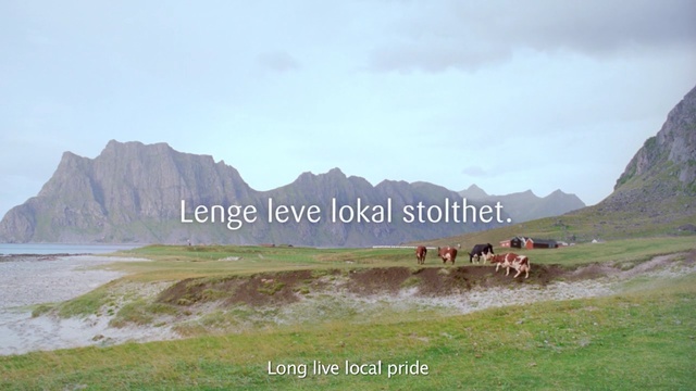Video Reference: grassland, ecosystem, highland, mountainous landforms, mountain, mountain range, plateau, ecoregion, steppe, tundra