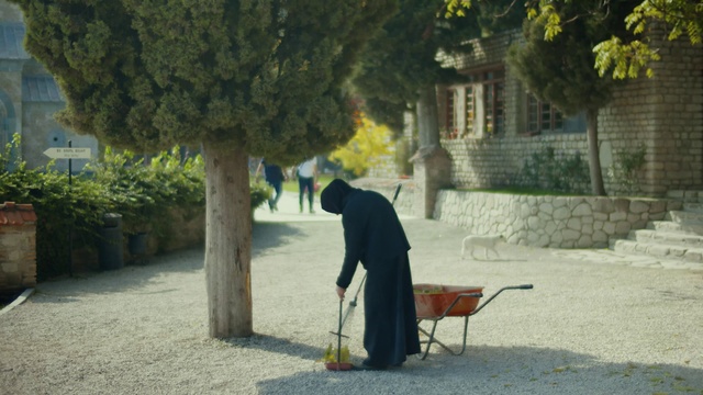 Video Reference: Sitting, Tree, Adaptation, Temple, Walking, Furniture, Leisure, Tints and shades, Street