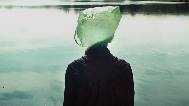 Video Reference: Green, Water, Atmospheric phenomenon, Reflection, Photography, Adaptation, River, Neck, Cloud, Sea, Person, Outdoor, Looking, Front, Mountain, Bird, Boat, Window, Man, Lake, Cellphone, Body, Large, Standing, Holding, Glass, Wearing, Phone, Woman, Hat, Perched, Snow, Nature