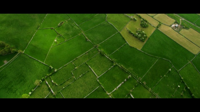Video Reference: aerial photography, green, field, leaf, bird's eye view, grass, photography, plain, land lot, crop, Person