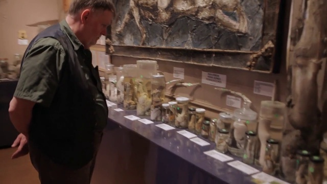 Video Reference: , Person