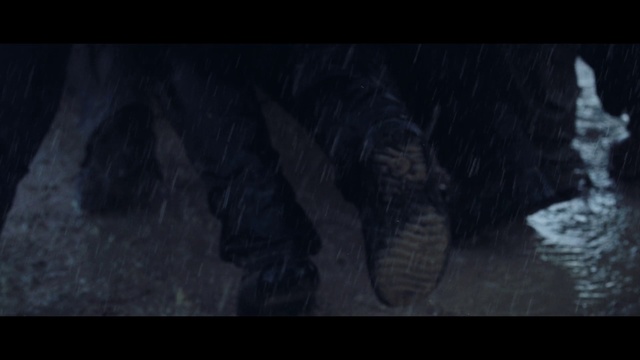 Video Reference: Black, Darkness, Wildlife, Organism, Tree, Photography, Screenshot, Fiction